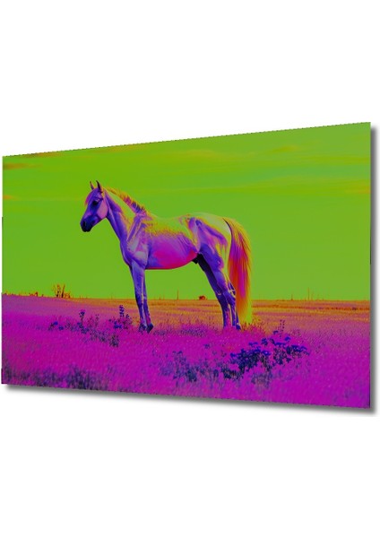 Neon Renkli At Rüyası Yağlı Boya Görünümlü Dekoratif Ahşap Ev/işyeri/ofis Kare Tablo fiyatları