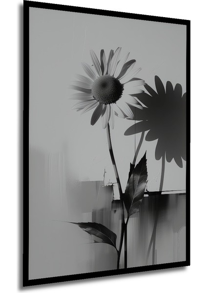Çerçeve Görünümlü Siyah Beyaz Papatya Gölgesi Modern Sanat Dekoratif Ahşap Işyeri/ofis Kare Tablo modelleri