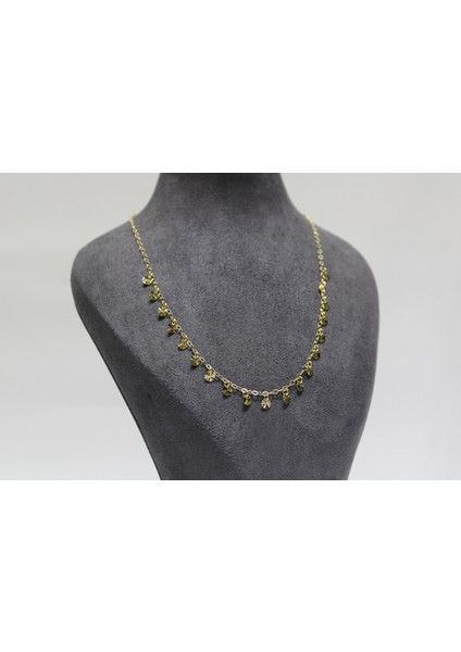 14 Ayar Gerçek Altın Pullu Kolye fiyatları