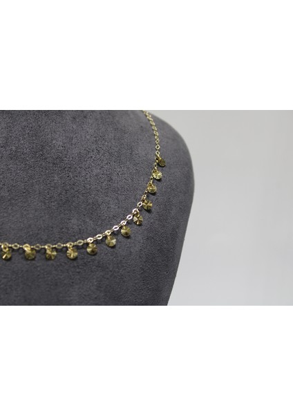 14 Ayar Gerçek Altın Pullu Kolye indirimleri