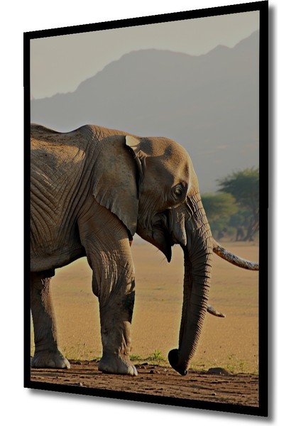 Çerçeve Görünümlü Sulu Boya Görünümlü Savan Fil Heybeti Işyeri/ofis/salon Ahşap Dekoratif Kare Tablo fiyatları