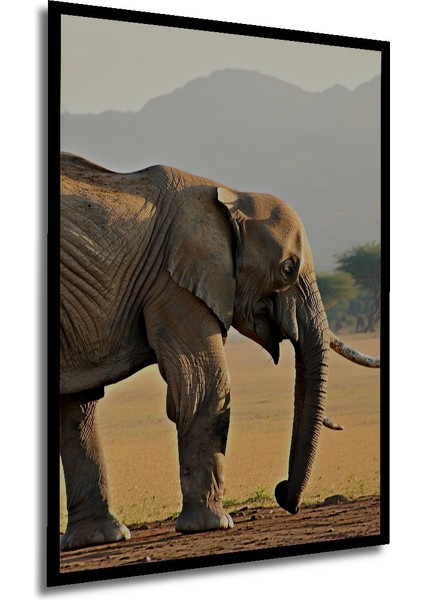 Çerçeve Görünümlü Sulu Boya Görünümlü Savan Fil Heybeti Işyeri/ofis/salon Ahşap Dekoratif Kare Tablo modelleri