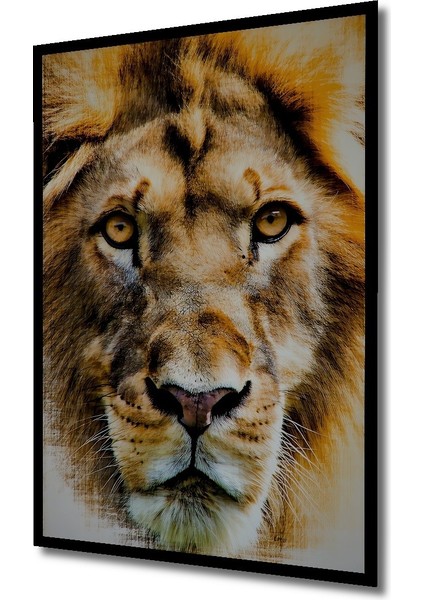 Çerçeve Görünümlü Yağlı Boya Görünümlü Aslan Portre Sanatı Ofis/salon Ahşap Dekoratif Kare Tablo fiyatları