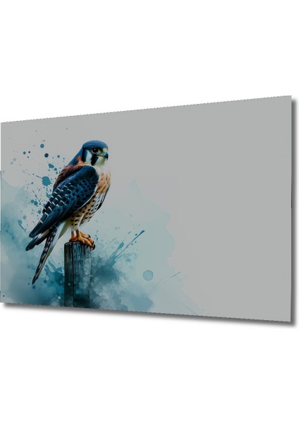 Sulu Boya Görünümlü Şahin Kuşu Dekoratif Ahşap Ev/işyeri/ofis Kare Tablo fiyatları