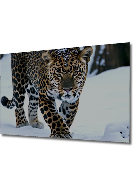 Kar Leoparı Kış Manzarası Yağlı Boya Görünümlü Dekoratif Ahşap Ev/işyeri/ofis Kare Tablo fiyatları