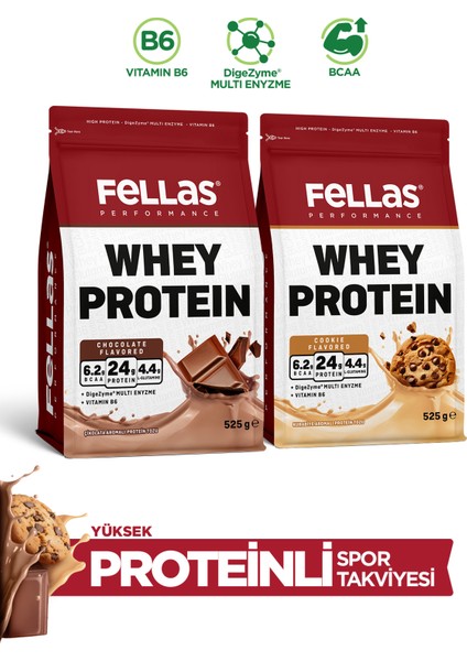 Performance Whey Protein Tozu 2'li Deneme Paketi (525G x 2)