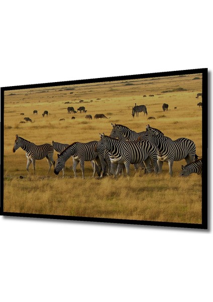 Çerçeve Görünümlü Afrika Savanında Zebra Sürüsü Yağlı Boya Görünümlü Ahşap Ofis Kare Tablo fiyatları