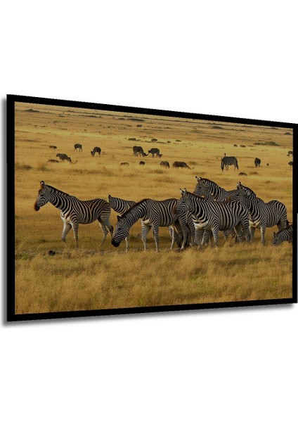 Çerçeve Görünümlü Afrika Savanında Zebra Sürüsü Yağlı Boya Görünümlü Ahşap Ofis Kare Tablo modelleri
