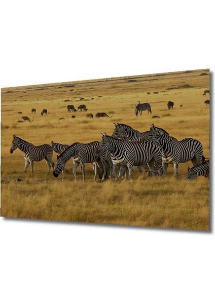 Afrika Savanında Zebra Sürüsü Yağlı Boya Görünümlü Dekoratif Ahşap Ev/işyeri/ofis Kare Tablo fiyatları