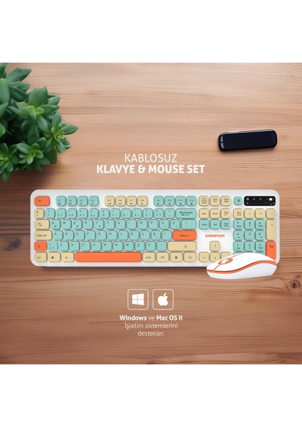 PSK12 Kablosuz 2.4 Ghz Pilli Klavye & Mouse Set Beyaz fırsatları