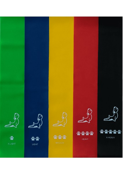 Direnç Bandı Seti 5'li Yüksek Kalite Doğal Lateks ile Tüm Vücut Antrenmanı 1 Adet