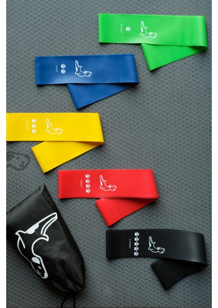 Direnç Bandı Seti 5'li Yüksek Kalite Doğal Lateks ile Tüm Vücut Antrenmanı 1 Adet fiyatları