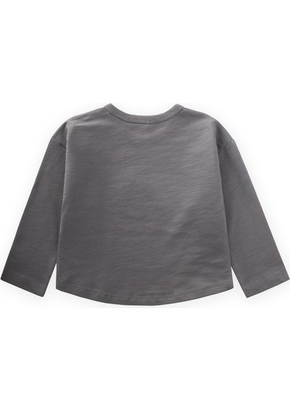 Nakışlı Sweatshirt 1-5 Yaş Vizon fiyatları