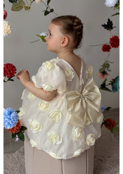 Kız Bebek Elbise Kısa Kollu Fiyonklu Güllü Doğum Günü Parti Düğün Özel Gün Abiye Kız Çocuk Elbise ALY0680 fiyatları