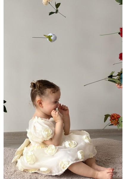 Kız Bebek Elbise Kısa Kollu Fiyonklu Güllü Doğum Günü Parti Düğün Özel Gün Abiye Kız Çocuk Elbise ALY0680 modelleri