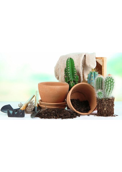 Kaktüs Sukulent Toprağı - Özel Karışım 10 Litre modelleri