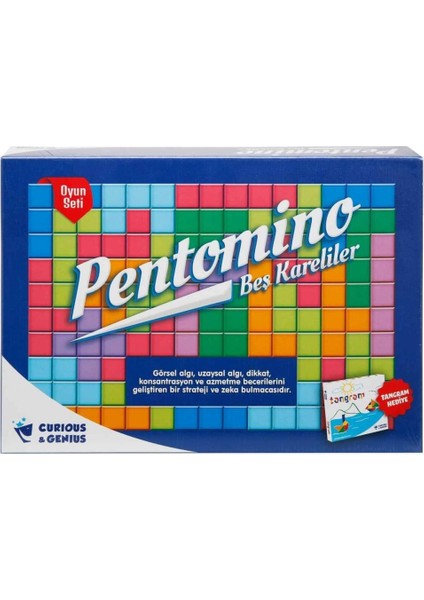 Nessiworld ZMK-2620 Pentomino Oyunu -Özaydınlar