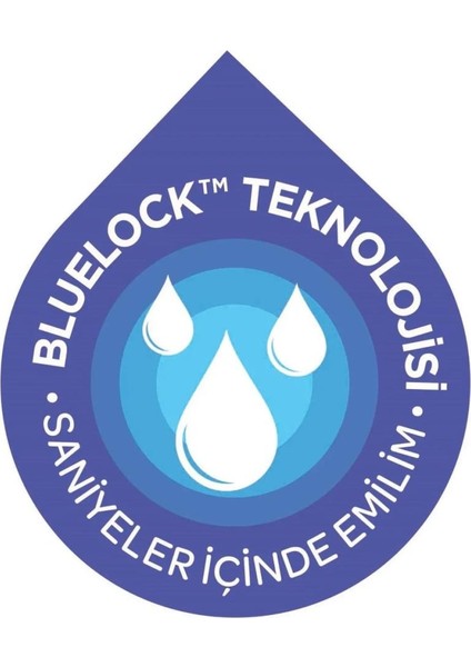 Nessiworld Blue Lock Göğüs Pedi 36 Adet fiyatları
