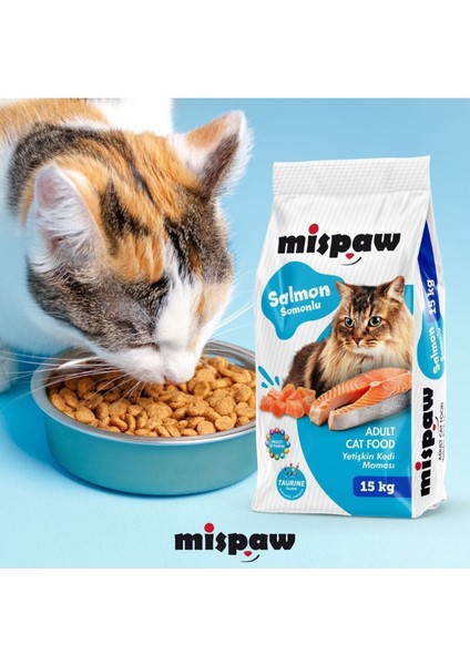 Yetişkin Kedi Maması (Somonlu) 15 kg fiyatları