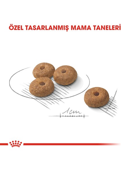 Mini Sterilised 3 kg + Sterilised Loaf x 2 Adet fırsatları