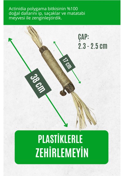 Büyük Matatabi Stick (1 Adet ) Diş Temizlemeye ve Stres Gidermeye Yardımcı Doğal Oyuncak fiyatları