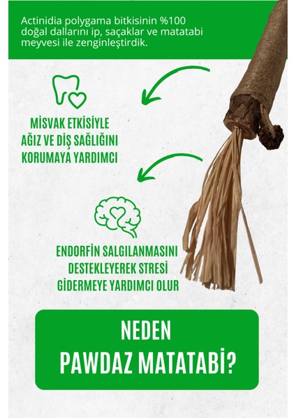 Büyük Matatabi Stick (1 Adet ) Diş Temizlemeye ve Stres Gidermeye Yardımcı Doğal Oyuncak modelleri