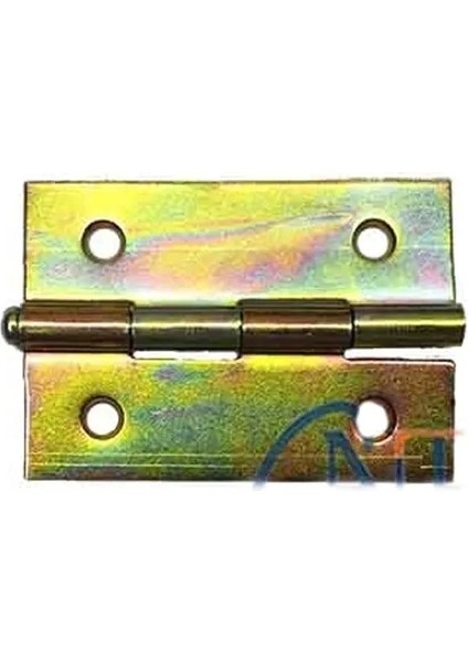 Yaprak Menteşe No:2 - 34X49MM, 1 Adet