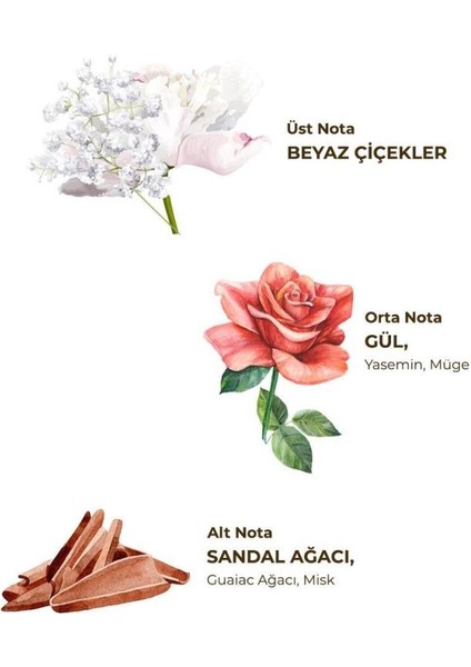 Nessiworld Eyüp Sabri Tuncer Kolonya Pet Şişe Sprey 150 ml Hatıralar fiyatları