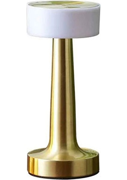 Dokunmatik Masa Lambası 3 Renkli Şarjlı Dimedilebilir Cata modelleri