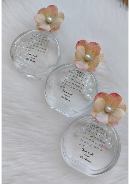 25 Adet Eyüp Sabri Tuncer Kolonya Seti Cam Şişe - Söz, Nişan, Nikah, Kına, Düğün, Doğum Günü, Yeni Doğan, Sünnet, Mevlid ve Özel Günler Için Hediyelik - Renkler: Şeffaf, Mavi, Pembe, Yeşil, Mor fiyatları