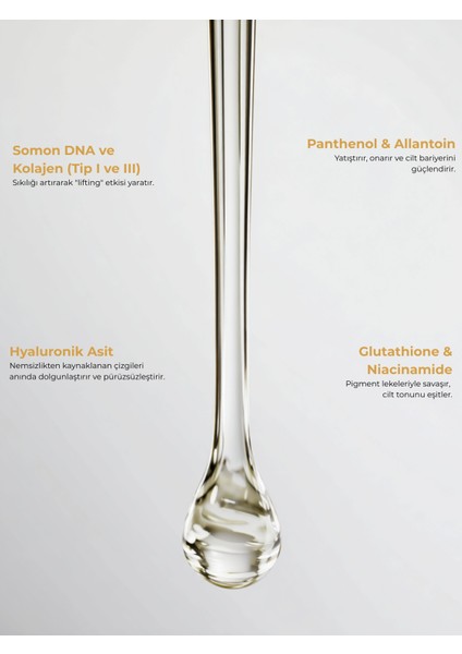 Yaşlanma Karşıtı Yüz Serumu | 50ml | Somon DNA & Kolajen | Sıkılaştırıcı, Dolgunlaştırıcı ve Aydınlatıcı Konsantre Bakım fırsatları