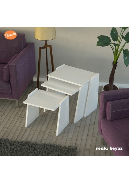 3 Lu Zigon Sehpa Takımı Sunum Sehpa