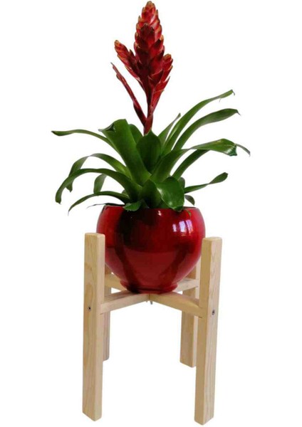 Saksı Standı Vernikli Çiçeklik Stant Raf Saksı Altlığı