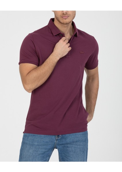 Polo Paris Mürdüm Regular