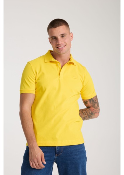 Polo Parıs Sarı Regular