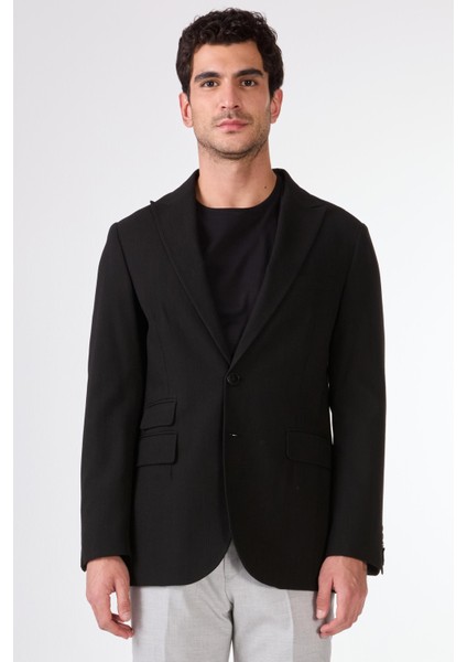 Siyah Erkek Slim Fit Çizgili Sivri Yaka Ceket 104443