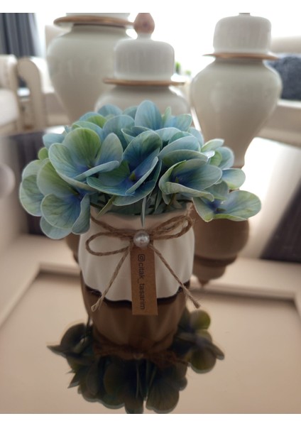 Minik Islak Ortanca Çiçek