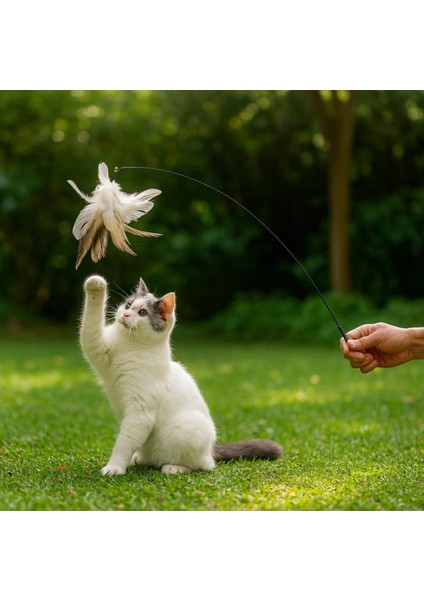 Kedi Oyuncağı Tüylü Zilli Vantuzlu – Av İçgüdüsünü Tetikler Kedi Oyun Oltası modelleri