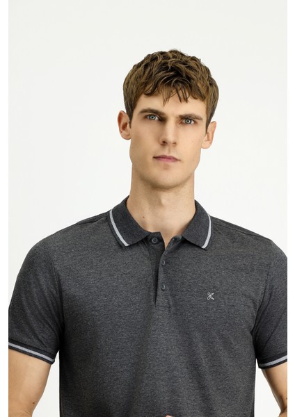 Polo Yaka Slim Fit Dar Kesim Nakışlı Süprem Pamuklu Tişört