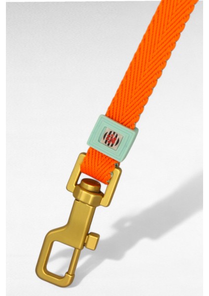 Köpek Gezdirme Tasma Kayışı Yüksek Mukavemetli Tasma Halatı Gezdirme Ipi Bedenli fırsatları