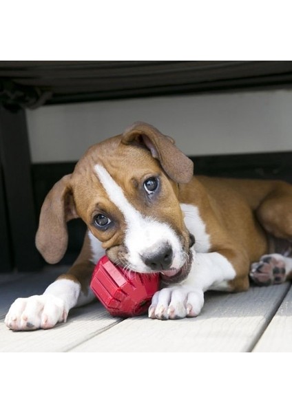 Kong Stuff A Ball Çok Amaçlı Kauçuk Köpek Oyuncağı Large modelleri