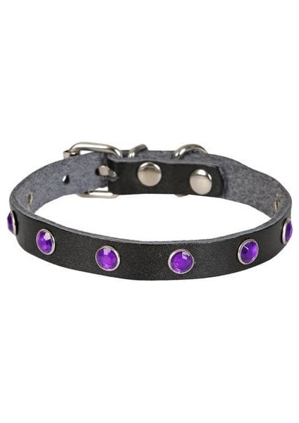 Cattie Gerçek Deriden Taşlı Kedi Boyun Tasması Medium Siyah 1X20-23 cm