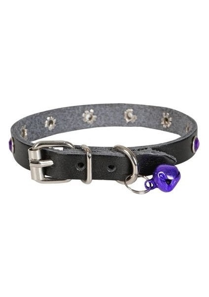 Cattie Gerçek Deriden Taşlı Kedi Boyun Tasması Medium Siyah 1X20-23 cm fiyatları