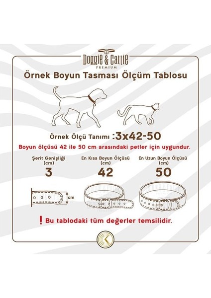 Cattie Gerçek Deriden Taşlı Kedi Boyun Tasması Medium Siyah 1X20-23 cm fırsatları