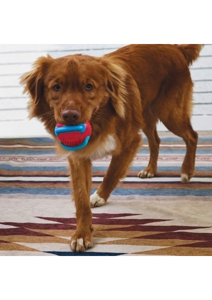 Kong Jaxx Brights Sandviç Şeklinde Köpek Oyuncağı Large modelleri