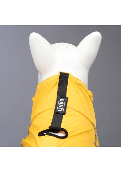 Lindo Dogs Quattro Vega Köpek Yağmurluğu Sarı Beden 5 modelleri