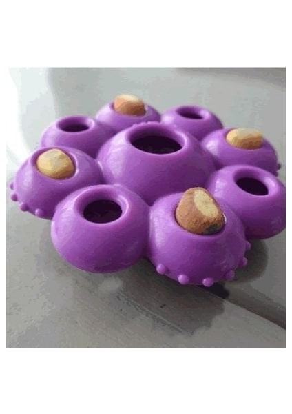 Kong Quest Star Çiçek Şeklinde Köpek Oyuncağı Small modelleri
