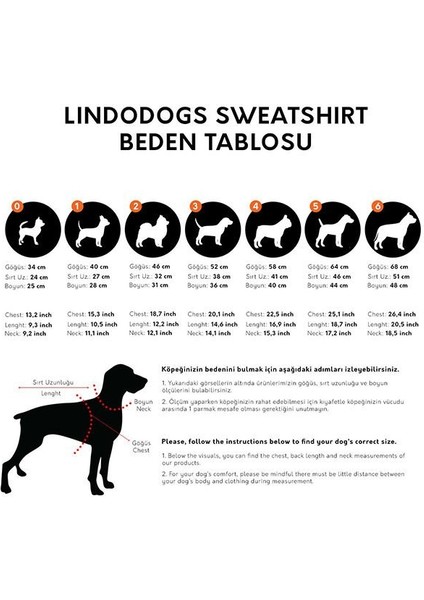 Lindo Jurassic Dog Köpek Sweatshirt Beden 3 modelleri