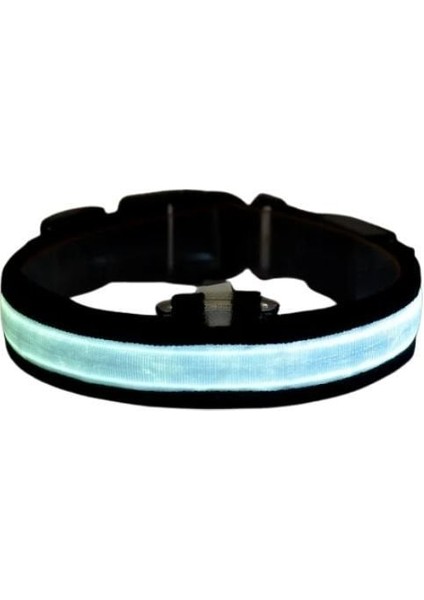Petzz Işıklı Ayarlanabilir Flaşörlü Kedi ve Köpek Boyun Tasması Mavi 45-52 cm / 2.5 cm