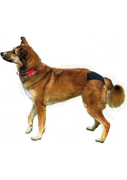 Trixie Hijyenik Köpek Külodu Large Siyah 50–59 cm fırsatları